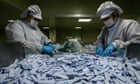 The lockdown only buys us time: to really defeat the virus we need mass testing now | Devi Sridhar