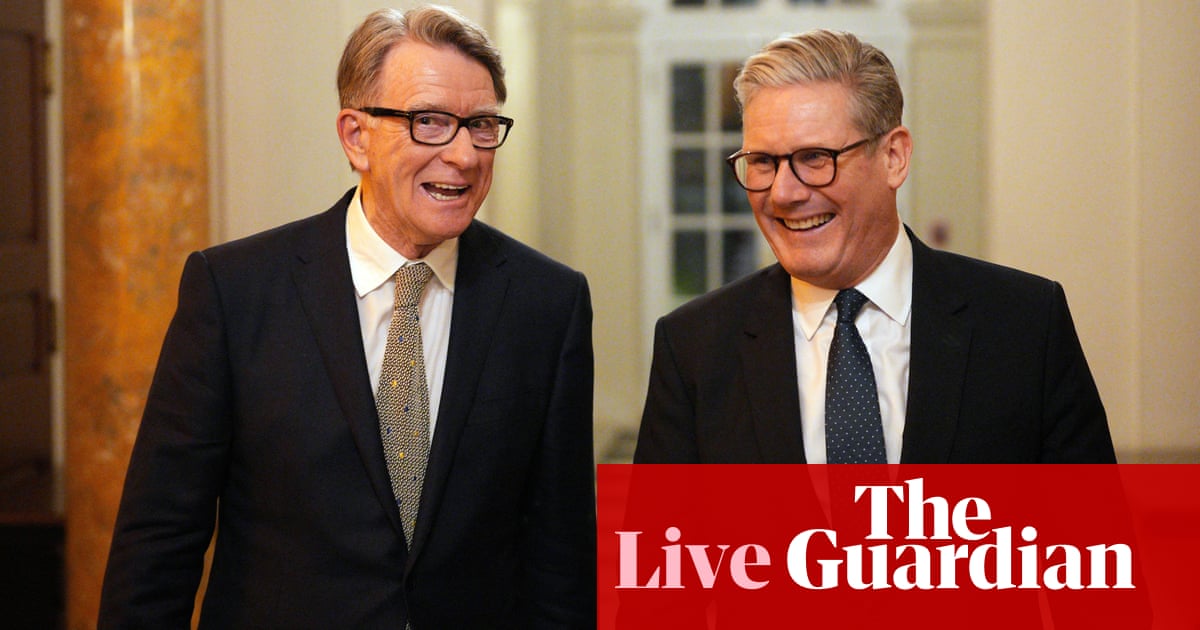 UK Government Distances from Mandelson's Ukraine Ceasefire Comments