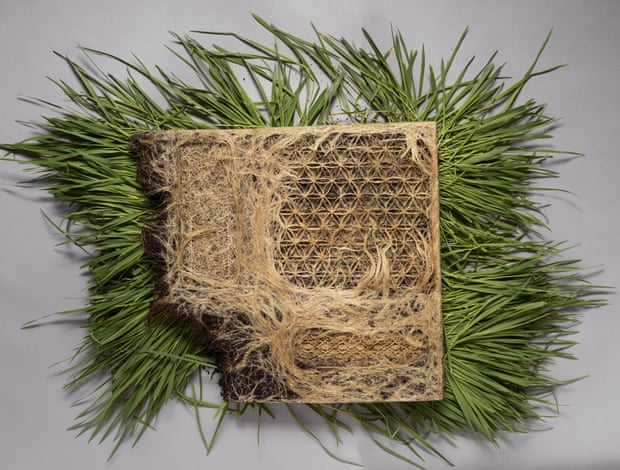 Diana Scherer’s Interwoven #4: a square of matting with blades of grass extruding