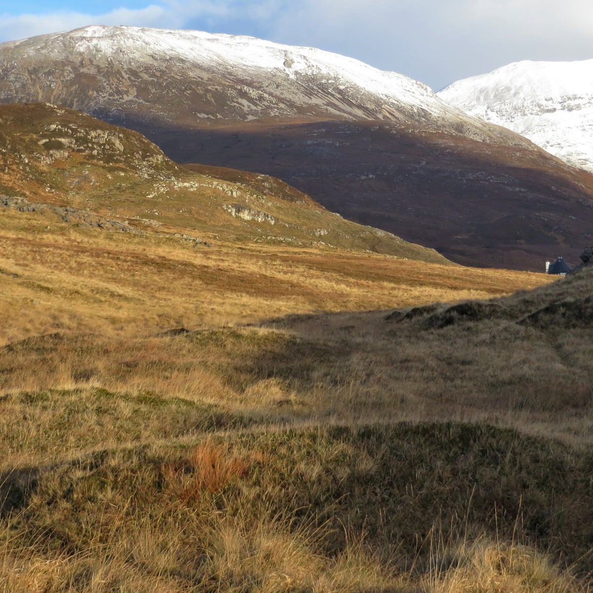 Country Diary The Mystery Of The Mounds Walking The Guardian