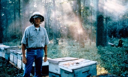 Peter Fonda as a Vietnam-vet beekeeper in Ulee’s Gold, 1997, for which he gained an Oscar nomination.