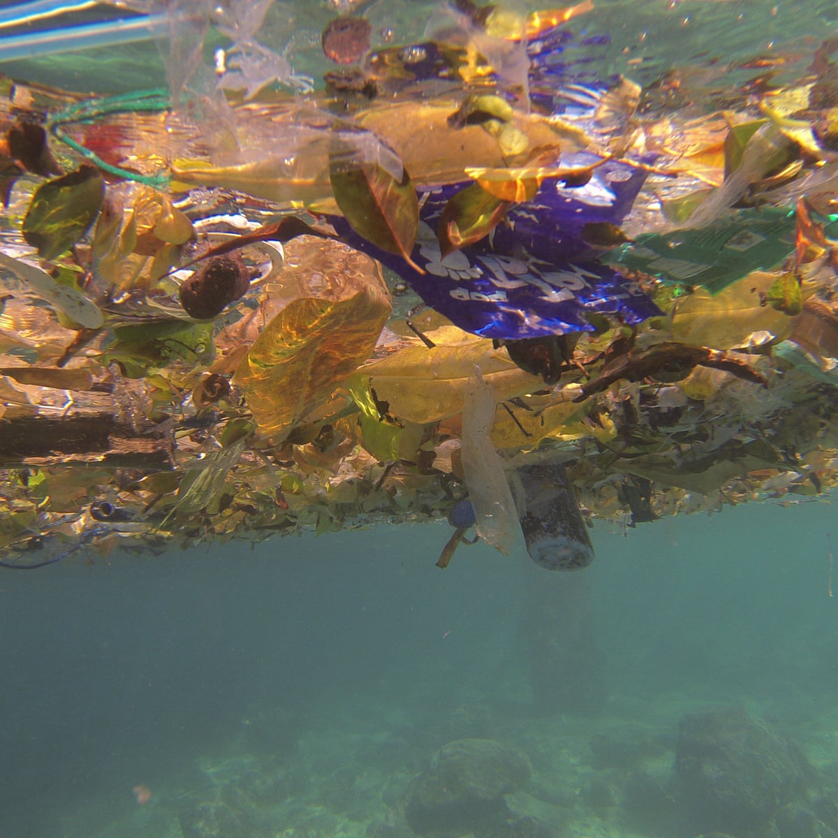 Plastic Is Literally Everywhere The Epidemic Attacking Australia S Oceans Environment The Guardian