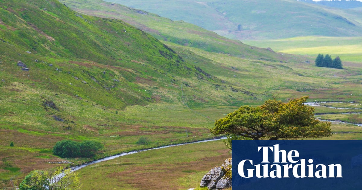 Welsh charity buys more than 405 hectares for rewilding