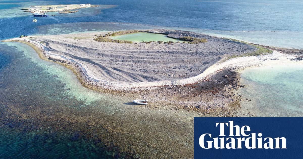 Alleged drug gang thwarted by giant seal in $1bn Australian drug bust