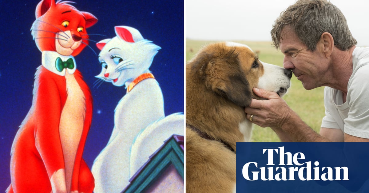 Watch The Fur Fly Why Cat Films Are Better Than Dog Films Movies The Guardian Watch The Fur Fly Why Cat Films Are Better Than Dog Films Movies The Guardian