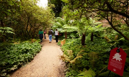 People walking down a path amid shade plants