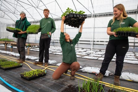 Cutler holds a tray of small plants above her head to assess the roots as three apprentices look on