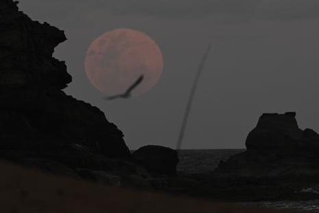 Australia politics dwell information: Medibank knowledge apparently posted on darkish net by ransomware group | Australia information 3 A full moon rises ahead of a total lunar eclipse in Stanwell Park, south of Sydney.