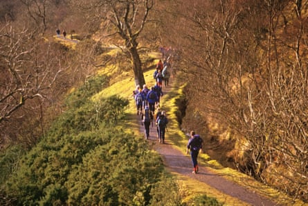 Hikers walk on a hardened path through trees on a hillside