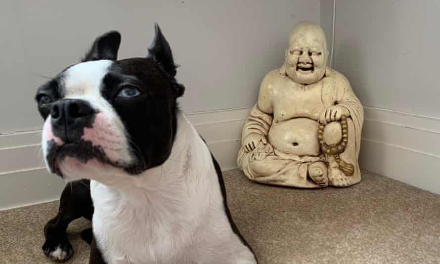 Alastair’s dog – and his reclaimed buddha statue.