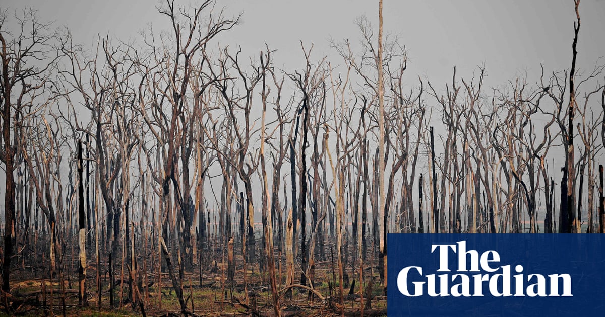 Experts call for ‘loss and damage’ fund for nature in developing world