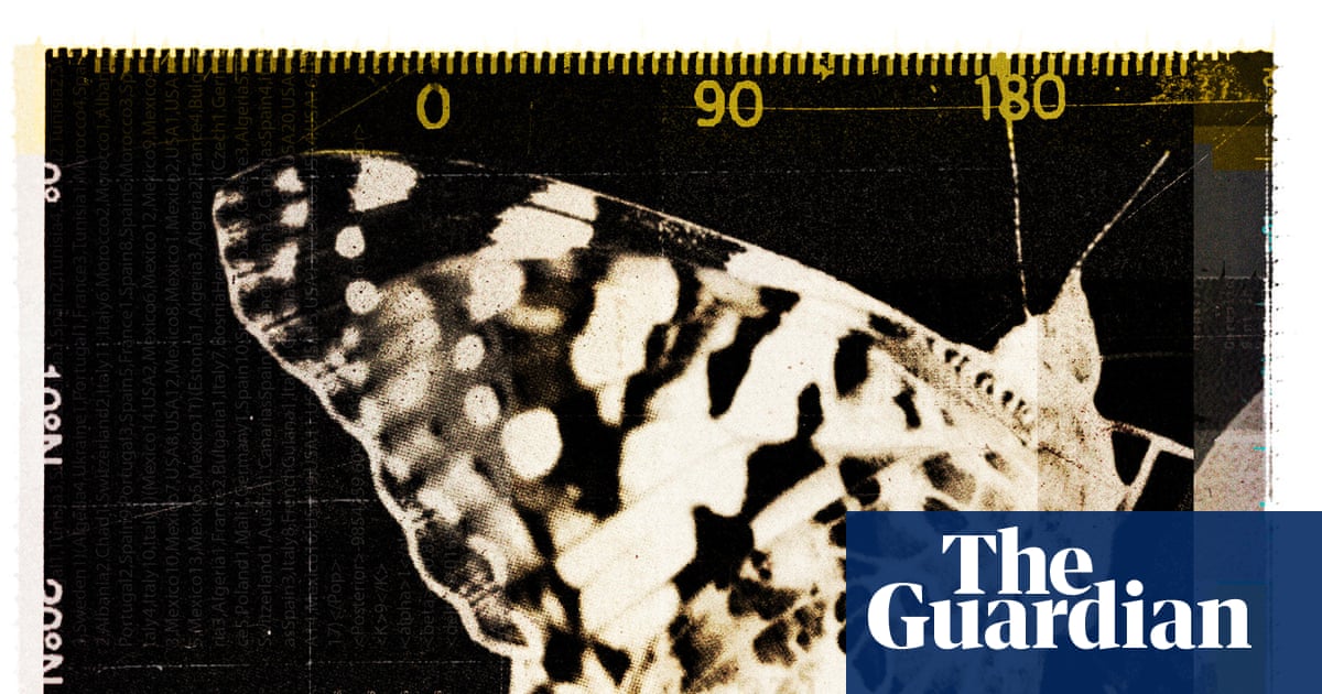 Butterflies crossing oceans, moths navigating by the stars: unravelling the mysteries of insect migrations