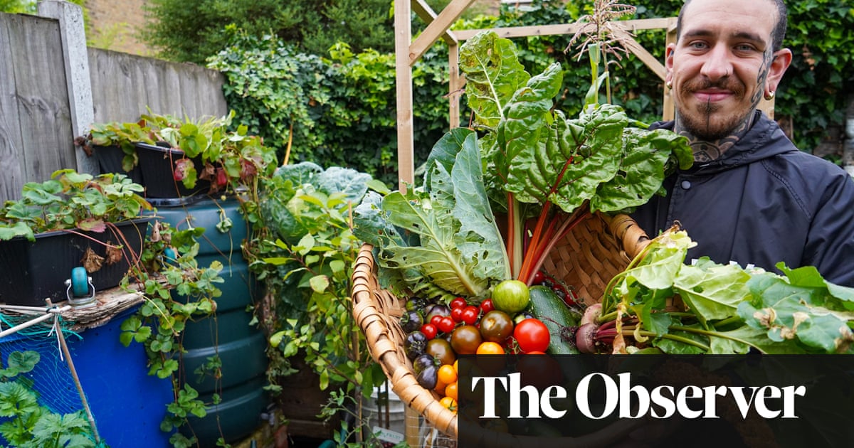 Roots to knowledge: the best gardeners to follow on social media | Gardens | The Guardian