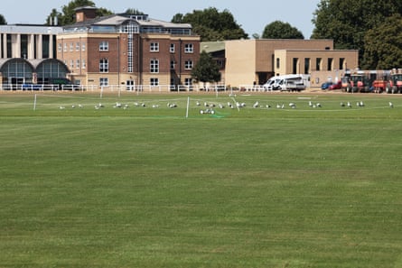 The green playing field at St Paul’s school.