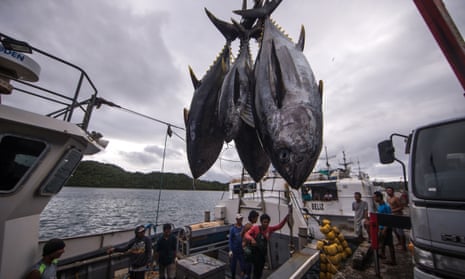 Off the hook: can a new study in the Pacific reel in unsustainable fishing?, Guardian sustainable business