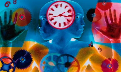 Time Timer - 60 minute – Big Little Brains