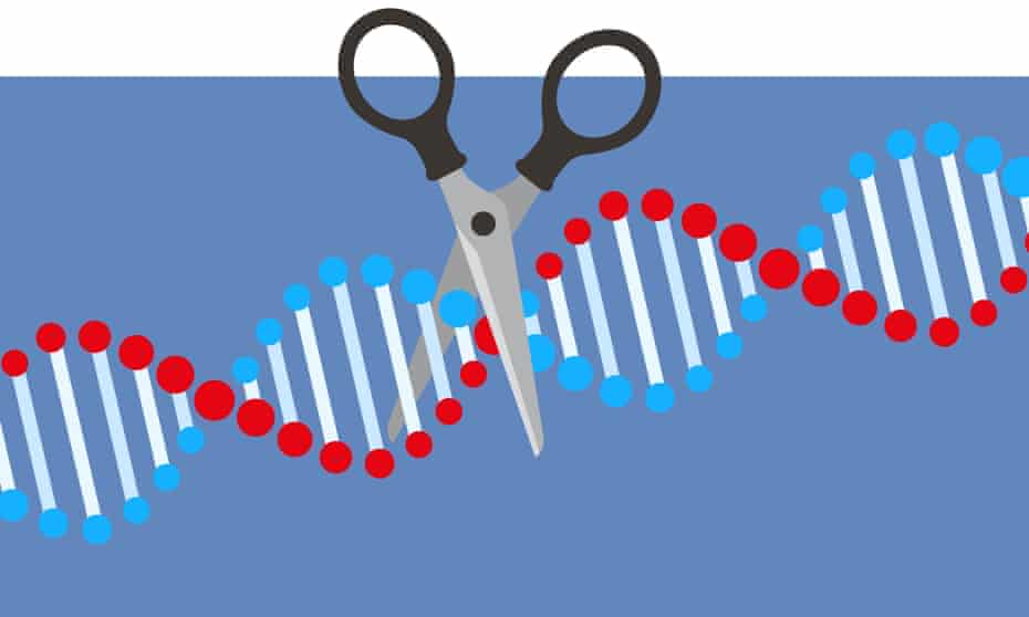 Crispr, the ‘genetic scissors’