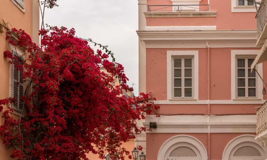 An old house with lively red flowers in Kerkira, Corfu.