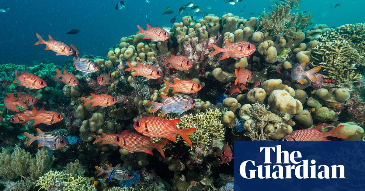 Nobel-winning stock market theory used to help save coral reefs