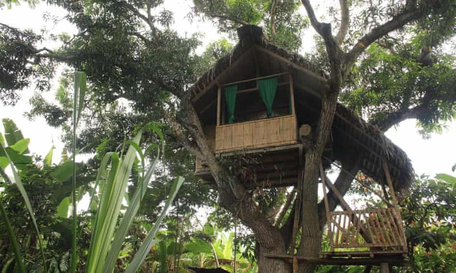 Treehouse at Finca Sarita, a remote farm in Ecuador