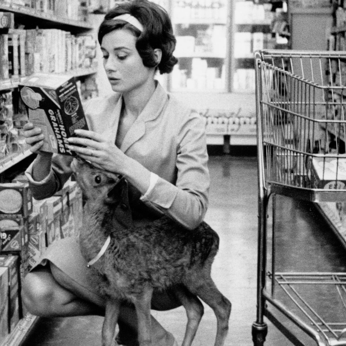 Frozen In Time Audrey Hepburn Shopping With A Fawn 1958