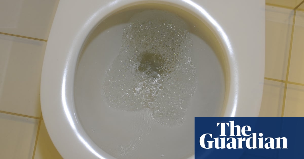 Low risk of catching Covid in public toilets, study finds