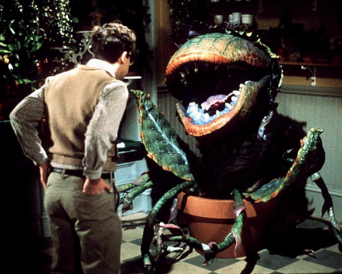 ‘Exceptionally crafted’: why Little Shop of Horrors is my feelgood movie