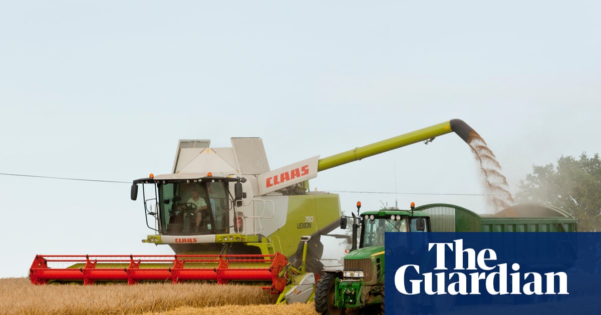 UK farmers lose 800m after heat and drought cause one of worst harvests on record
