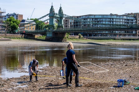 Volunteers searching the Thames riverbed near Hammersmith Bridge.
