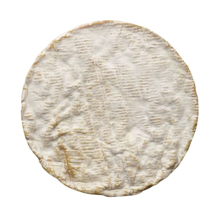 Round Baron Bigod cheese