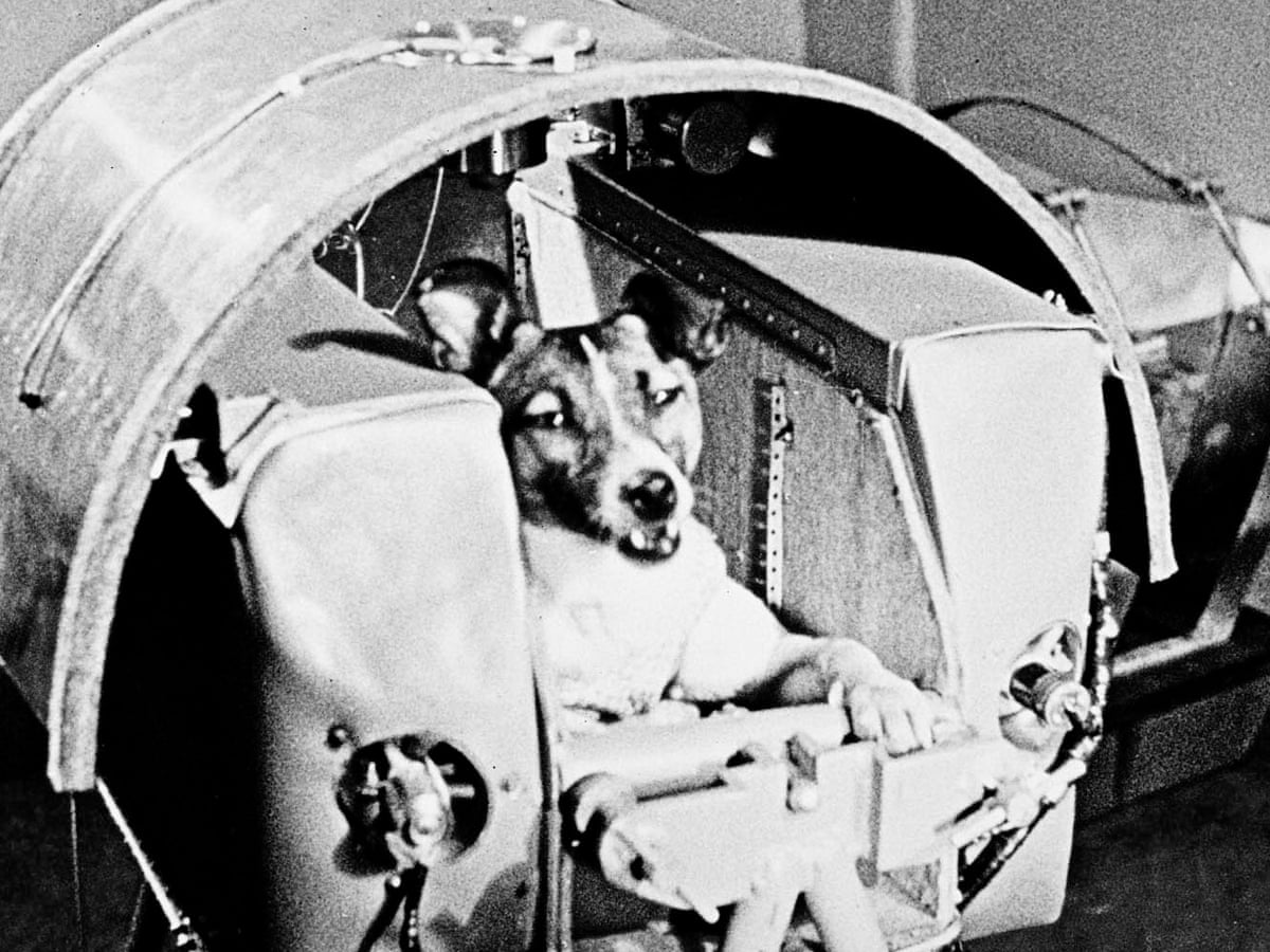 Space travel comes true – archive, 1957 | Space | The Guardian