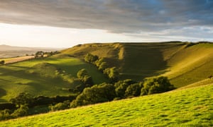 Late afternoon sunshine illuminates the iron age hill fort of Eggardon Hill.