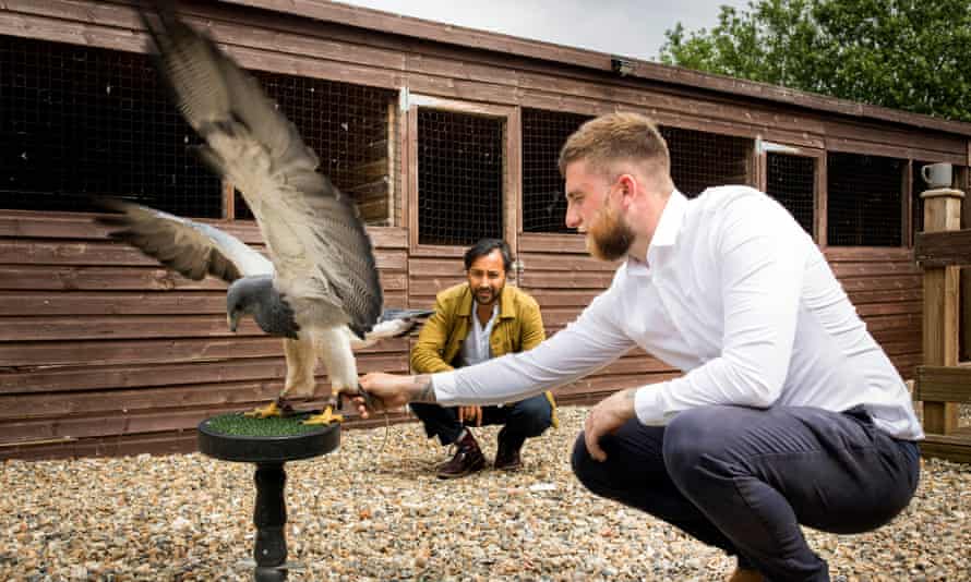 Rhik with Ryan Shoebridge, of the Hawking Centre, and Moet, a nine-year-old Chilean blue eagle.