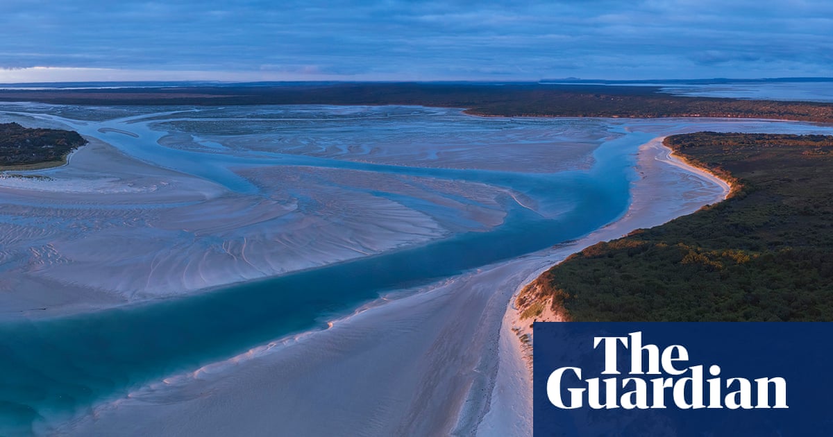 Federal Government Approves 100-Turbine Robbins Island Wind Farm Amid Endangered Parrot Concerns