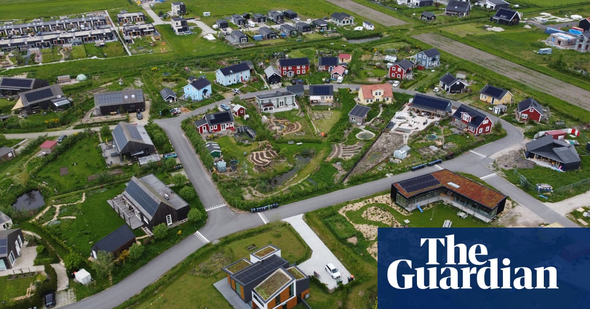 'You have to find your own recipe': Dutch suburb where residents must grow food on at least half of their property