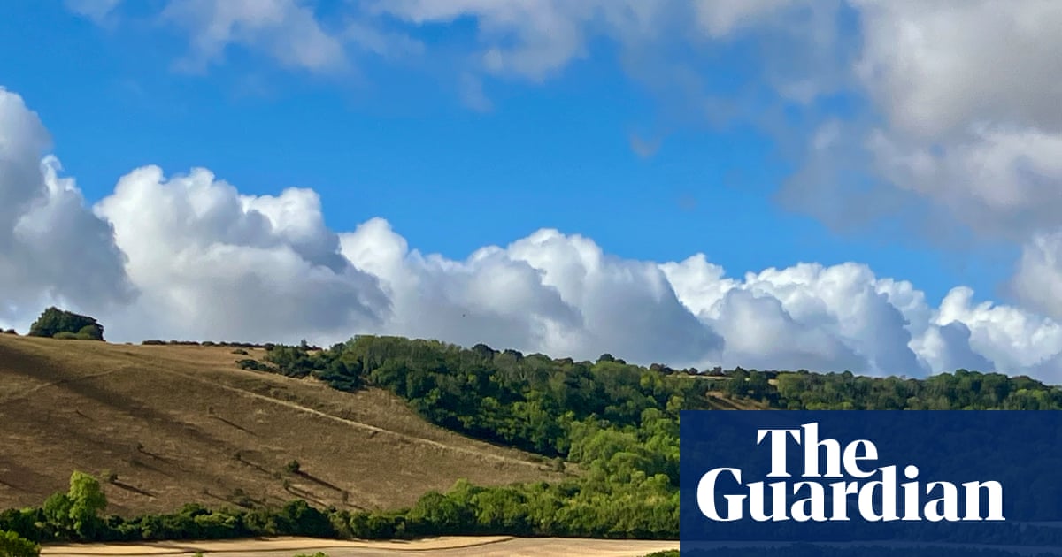Country diary: The rain has come, and suddenly the land looks (and smells) different | Drought Country diary: The rain has come, and suddenly the land looks (and smells) different | Drought