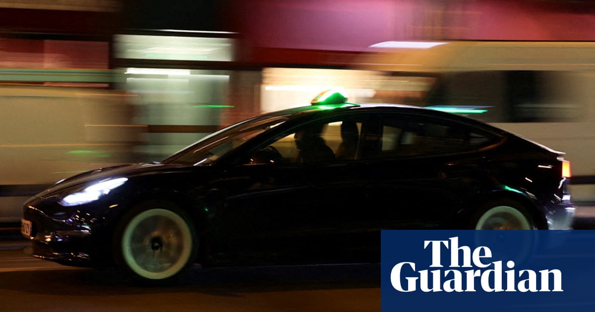 Paris taxi firm suspends use of Tesla Model 3 cars after fatal accident