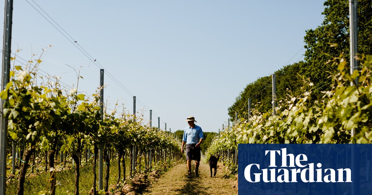 We cannot do it the way our fathers did': farmers across Europe struggle to adapt to the climate crisis