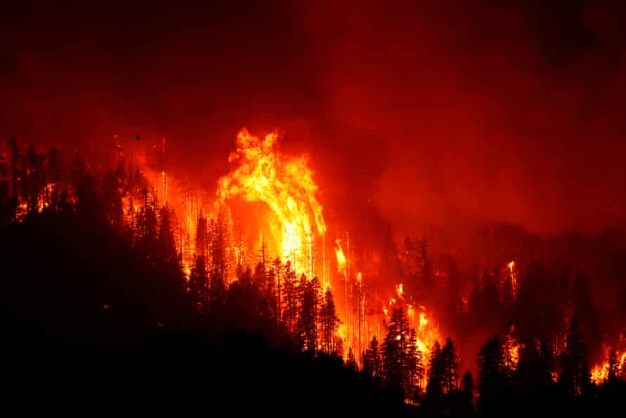 L'incendie de Dixie brûle de manière incontrôlable à travers des arbres le 16 août 2021 près de Janesville, en Californie.