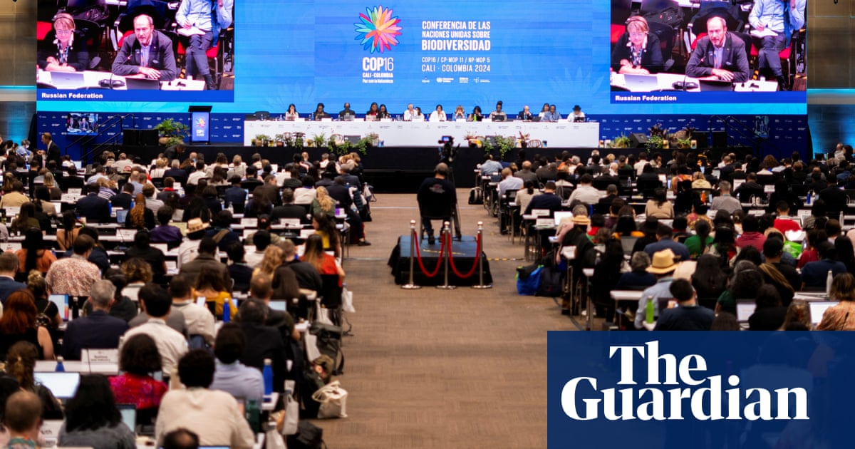 Meat, oil and pesticide industry lobbyists turned out in record numbers at Cop16 | Cop16 Meat, oil and pesticide industry lobbyists turned out in record numbers at Cop16 | Cop16