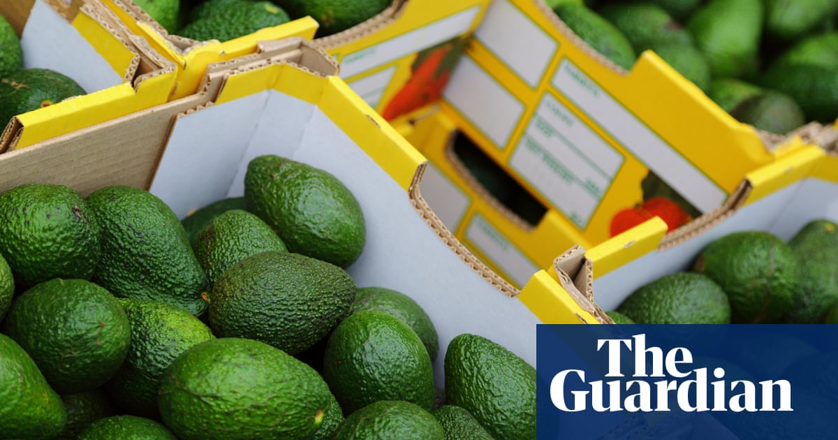 Slashed avocados: prices low but set to rise again as Shepard season ends in Australia - The Guardia