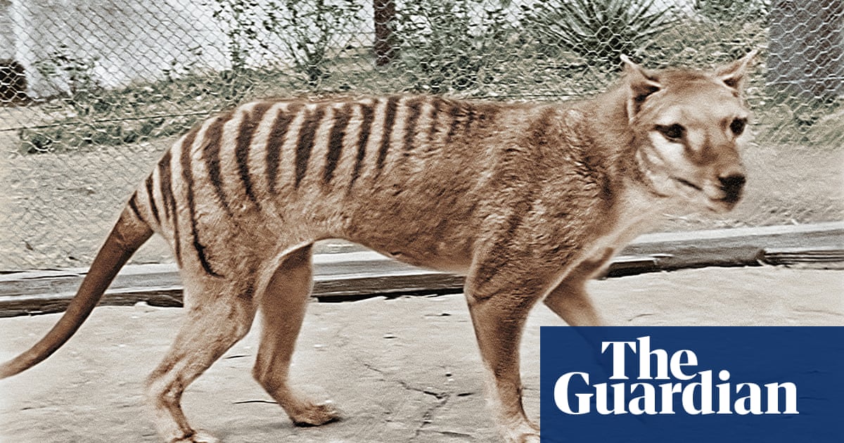 De-extinction: scientists are planning the multimillion-dollar resurrection of the Tasmanian tiger