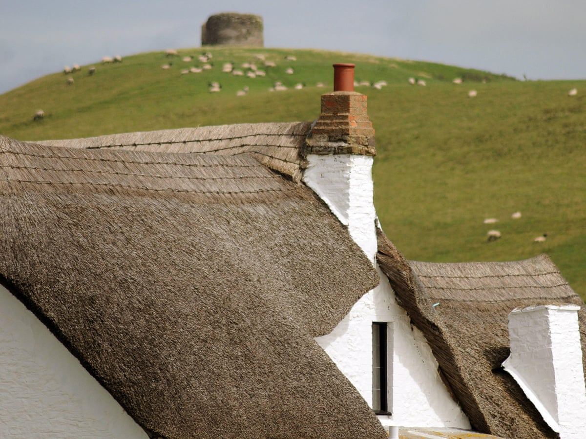 Inside story of a thatched roof | Rural affairs | The Guardian