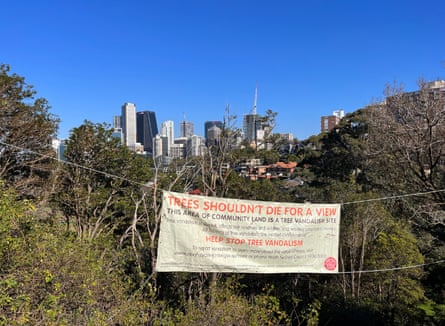 Un panneau mis en place après un grave incident de vandalisme d'arbres à Forsyth Park, Neutral Bay, sur la basse côte nord de Sydney