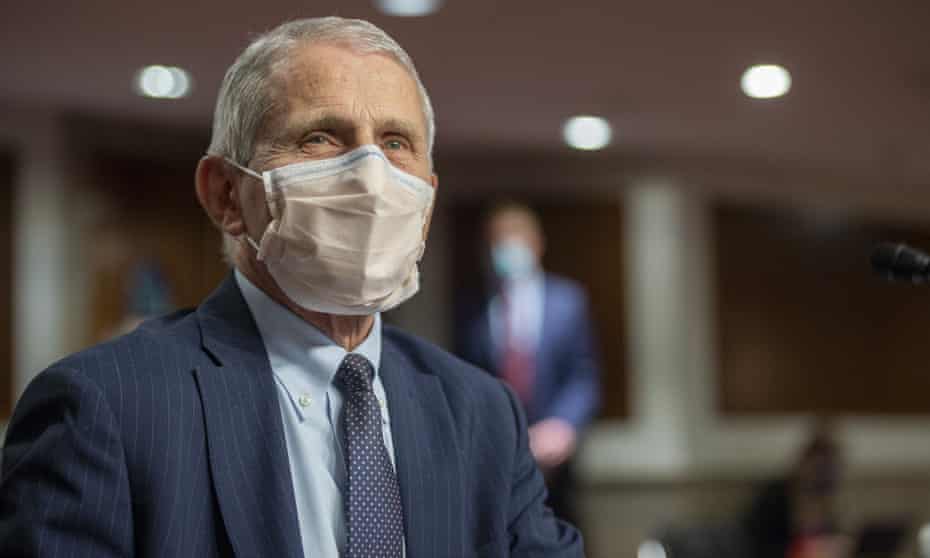 Anthony Fauci testifies in the Senate on 4 November 2021.