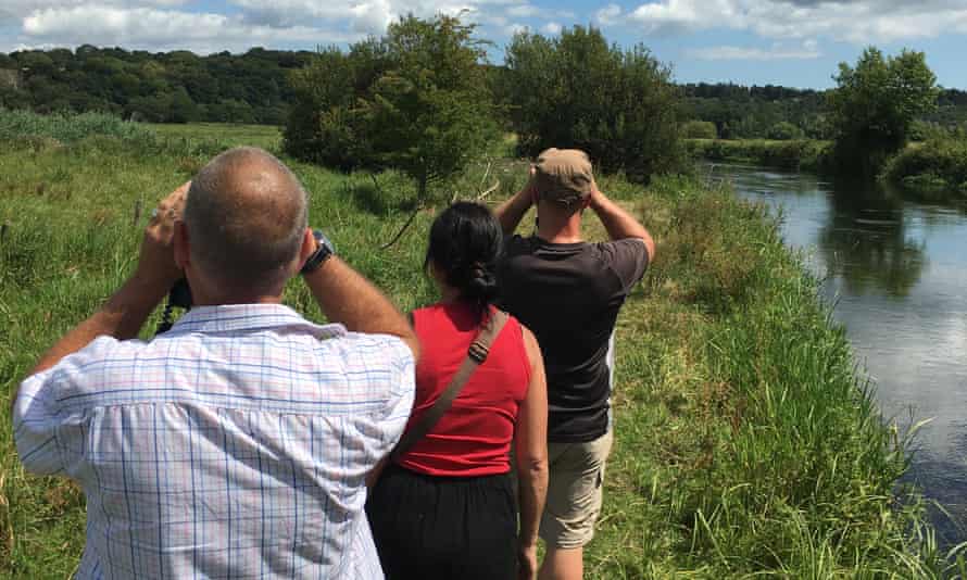 Steve Gozdz now works full-time as a birdwatching guide.