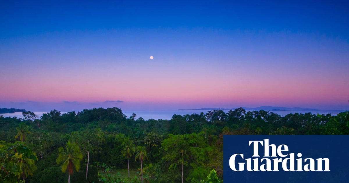 ‘They’re scared of us now’: how co-investment in a tropical forest saw off loggers