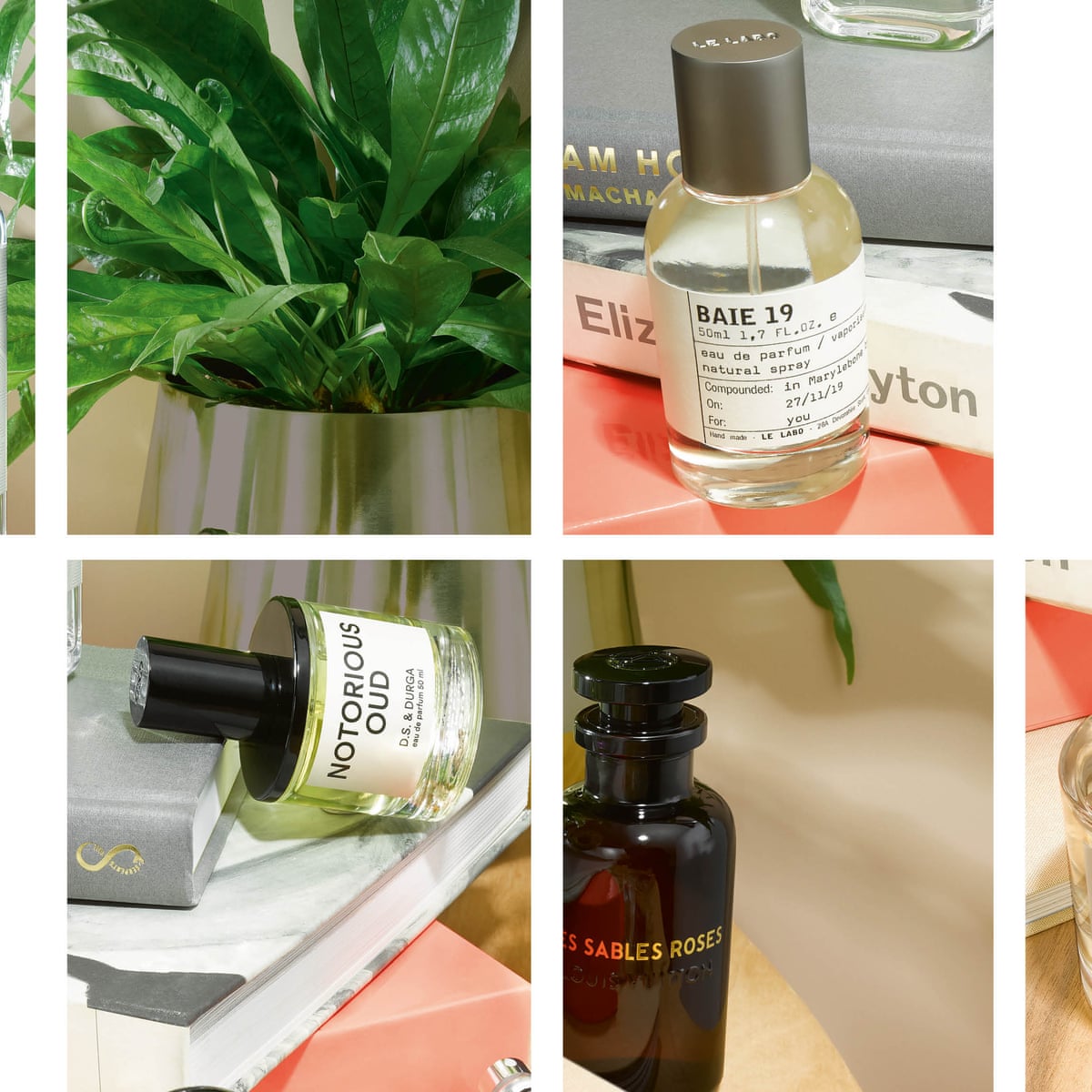 Smell Like You Why Gender Free Is The Future Of Fragrance Fragrance The Guardian Smell Like You Why Gender Free Is The Future Of Fragrance Fragrance The Guardian