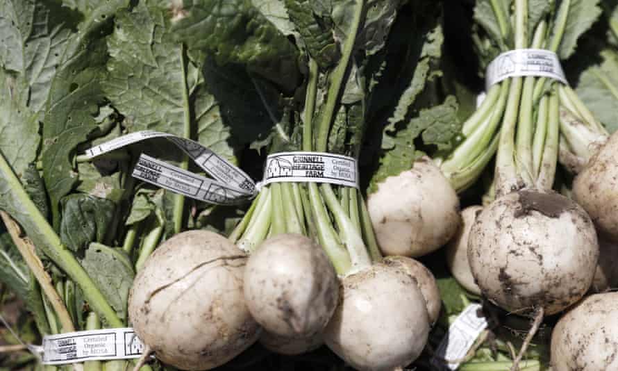 2021’s ingredient of the yr: 19 Australian meals lovers share their favourites | Australian food and drinks 75 Hakurei turnips