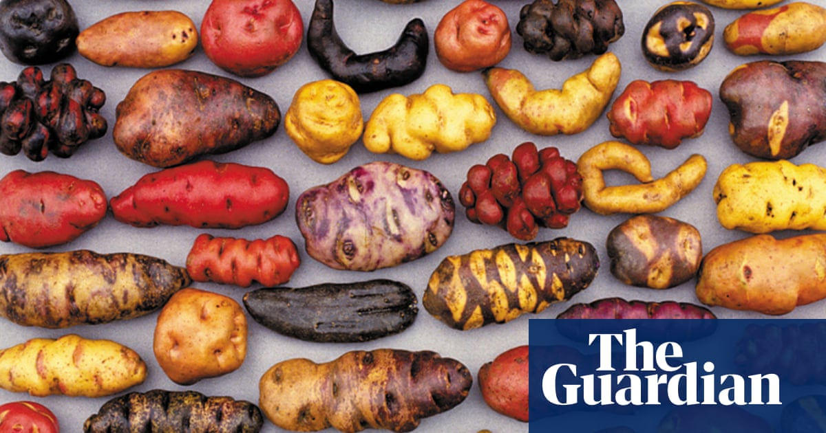 How Peru S Potato Museum Could Stave Off World Food Crisis Climate Change The Guardian